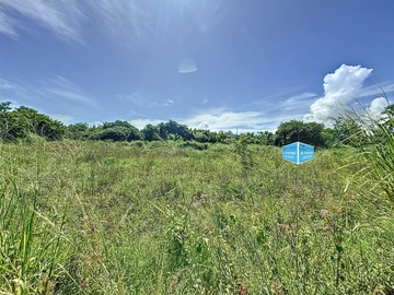 Land