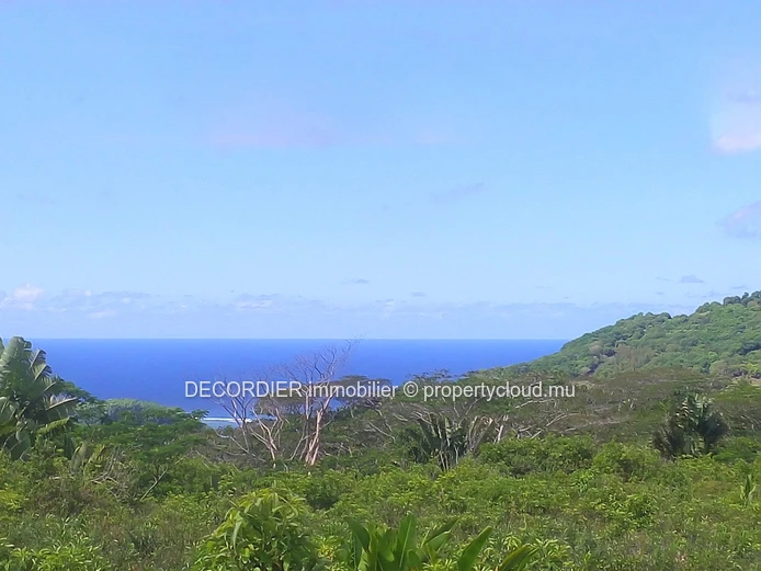 Terrain agricole de 464.62 arpents en vente de Quartier de la savanne à Chamarel