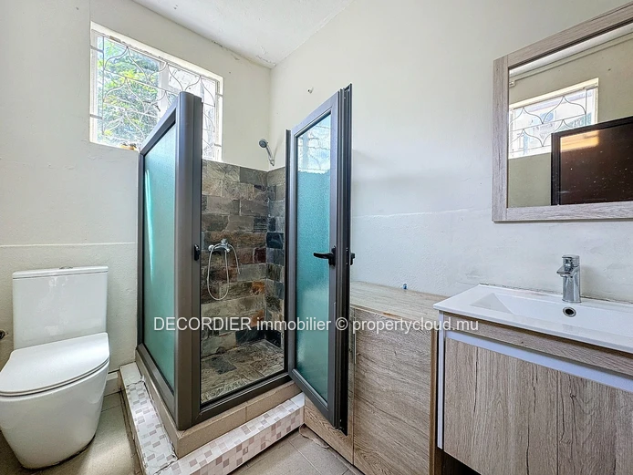 Large detached house with swimming pool and garden