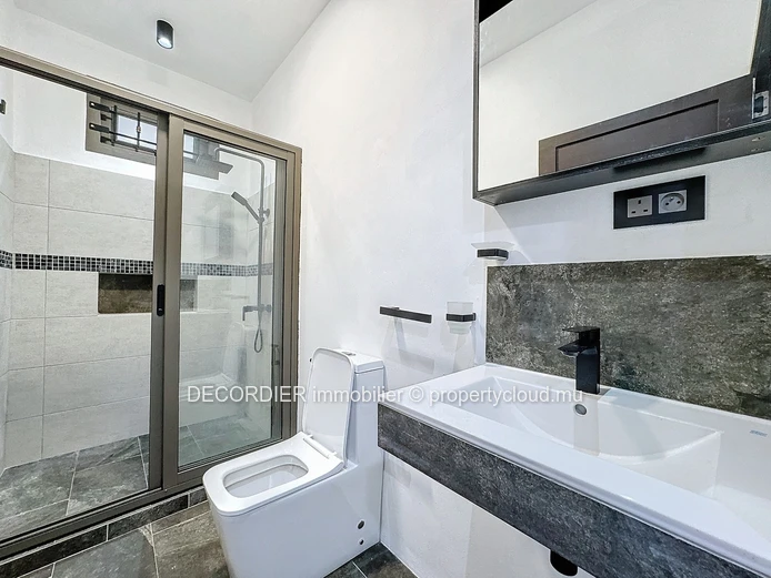 Large detached house with swimming pool