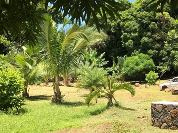 Land