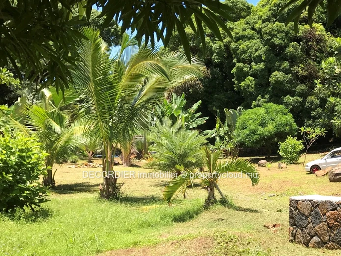 Agricultural land with sea and mountain views (Sole Mandate)