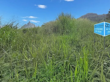 Land