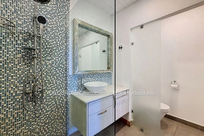 Apartment for Rent in Bain Bœuf