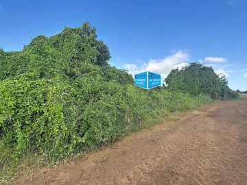 Terrain