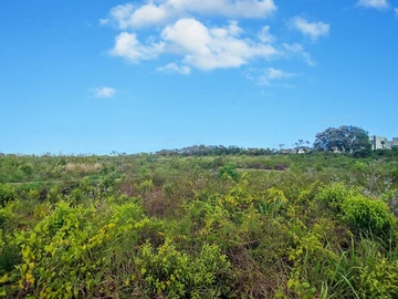 Land