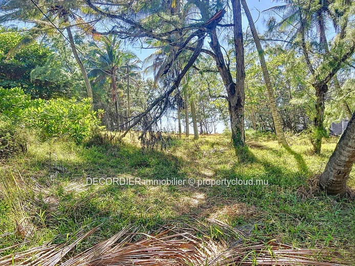 For Sale Poste Lafayette Building Land