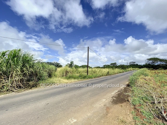Large agricultural land ideal for an eco development project