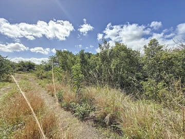 Land