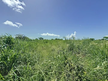 Land