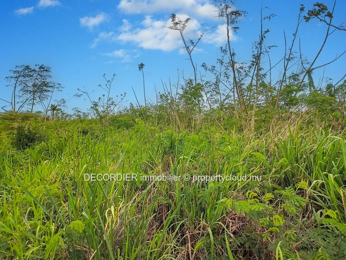 For Sale Baie Du Tombeau Agricultural Land
