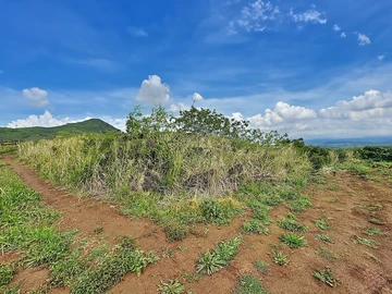 Terrain