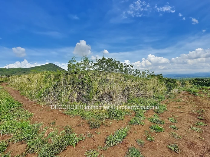 Opportunité à saisir à Pamplemousses – Terrain de 4221 m²