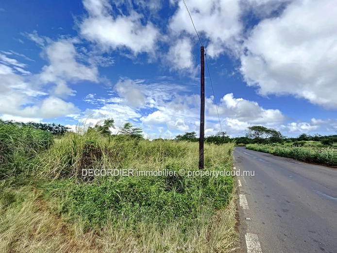 Large agricultural land ideal for an eco development project