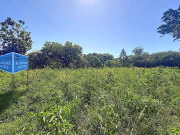 Terrain