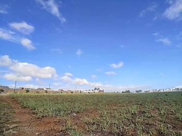 Land
