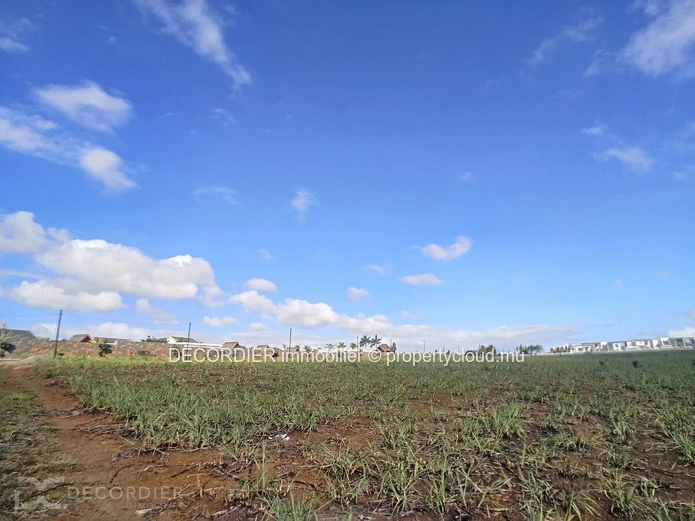 Magnificent land for real estate development / investor