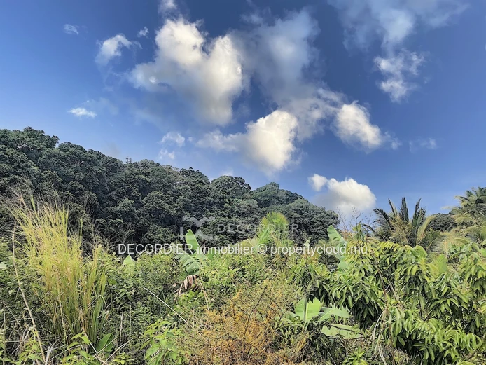 Agricultural land near Savanne river. (Sole Mandate)