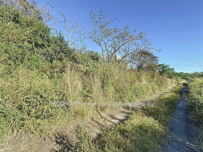 Agricultural land for sale