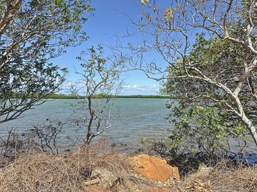 Terrain