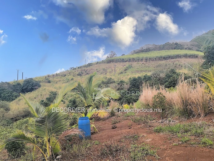 Agricultural land near Savanne river. (Sole Mandate)