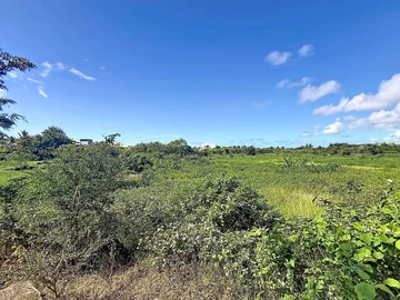 Land