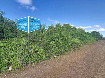 Terrain