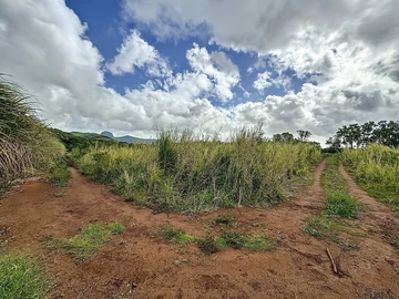 Terrain
