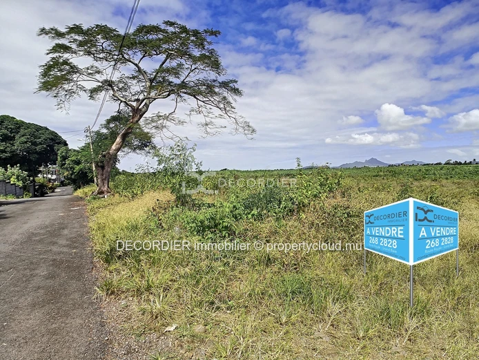 For sale agricultural land - Mare la Chaux, Flacq