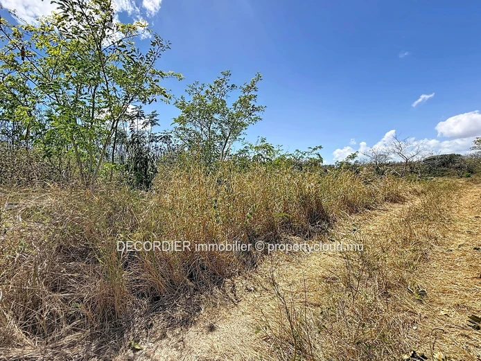 For Sale – Agricultural Land in Grand Baie, La Salette