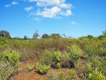 Land