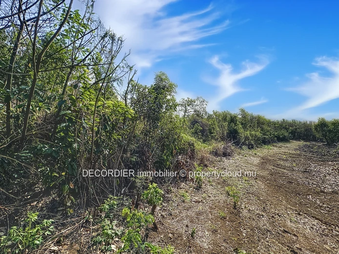 À Vendre La Salette Grand Baie Terrain Constructible