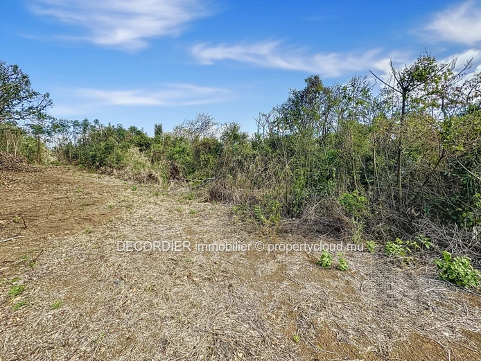 À Vendre La Salette Grand Baie Terrain Constructible