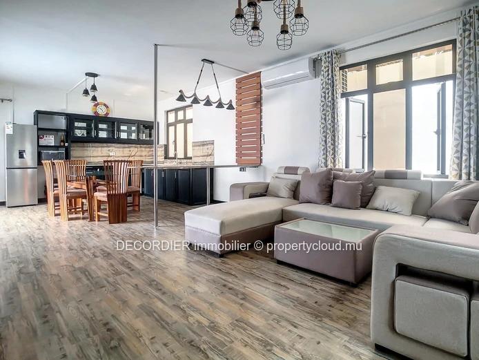 New and modern house with swimming pool and garden