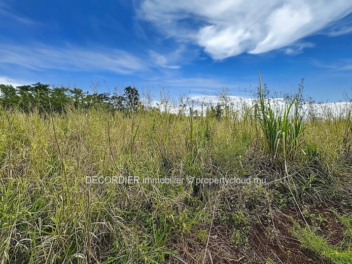 Opportunité à saisir à Pamplemousses – Terrain de 4221 m²