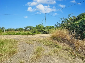 Land