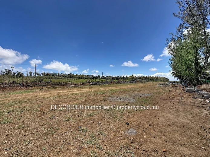 Your future residential project on a spacious plot (Sole Mandate)