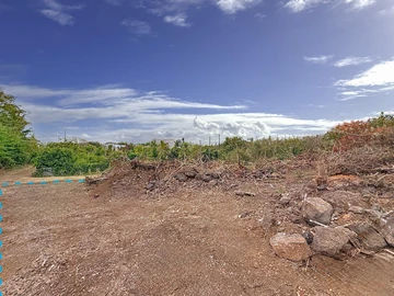 Terrain