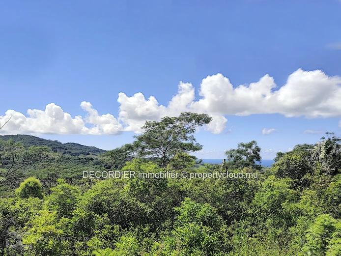 Terrain agricole de 464.62 arpents en vente de Quartier de la savanne à Chamarel