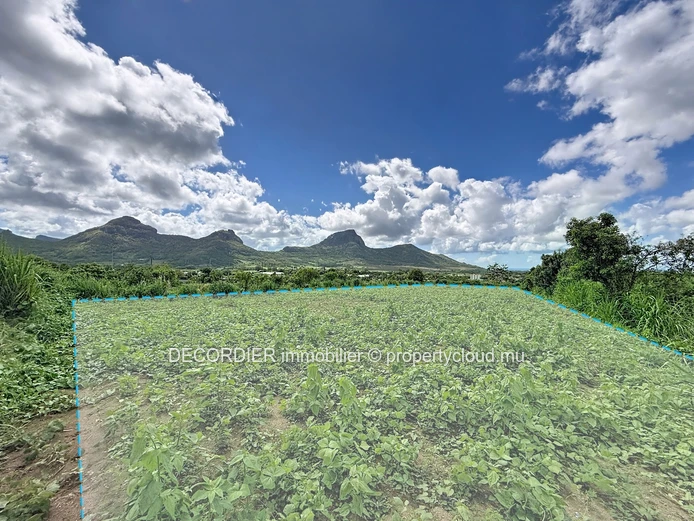 Rare on the market – Spacious agricultural land