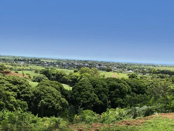 Land