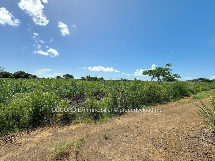 Agricultural land in residential conversion