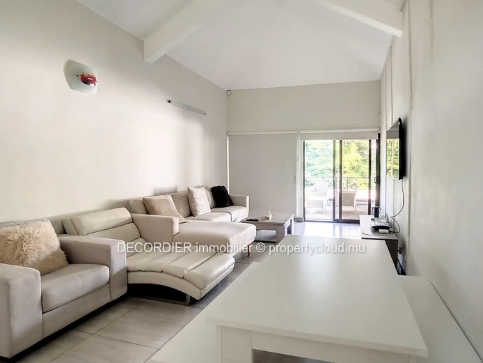 Large detached house with swimming pool and garden