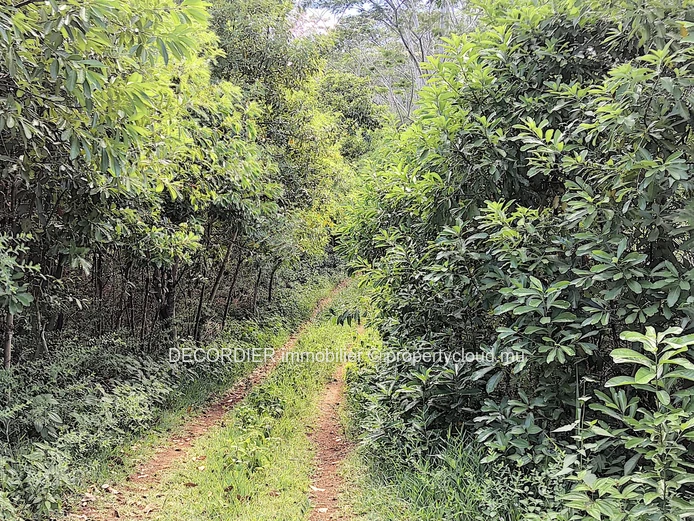 Terrain agricole de 464.62 arpents en vente de Quartier de la savanne à Chamarel