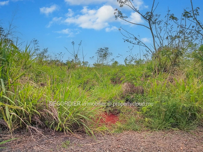 For Sale Baie Du Tombeau Agricultural Land