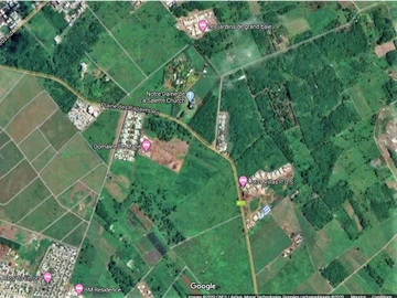 Land