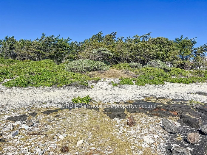 For Sale Poste Lafayette Building Land