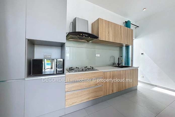 New single storey house with swimming pool and garden