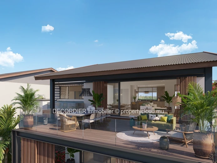 Magnificent penthouse with private swimming pool