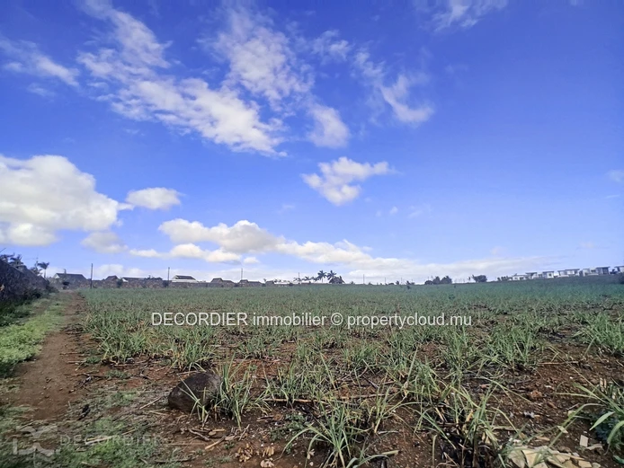 Magnificent land for real estate development / investor